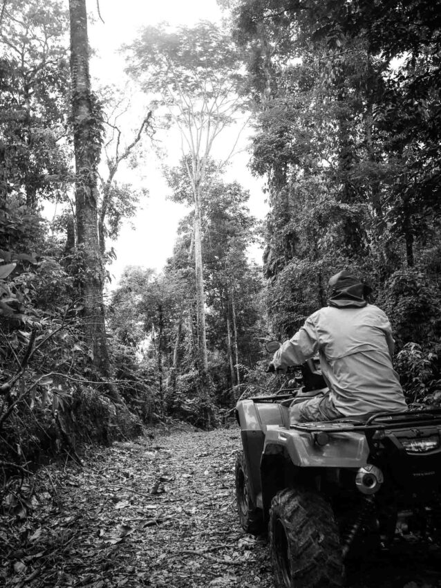 quad in jungle of costa rica
