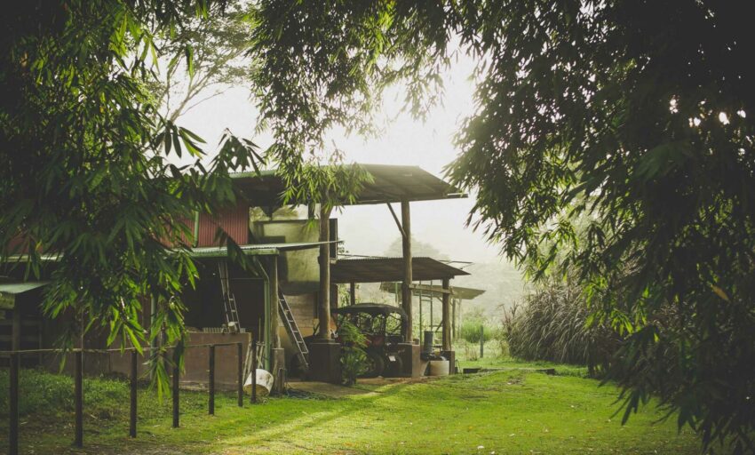 farm