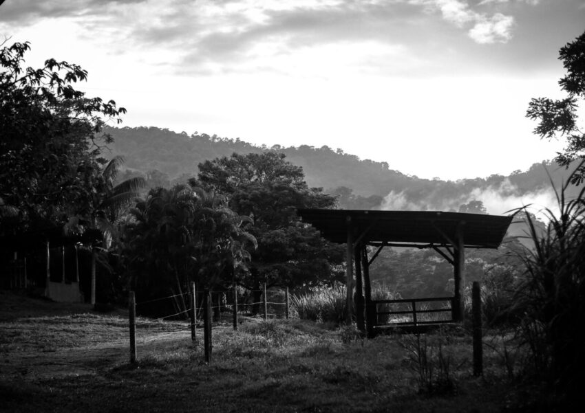 sundown photo brett's ark