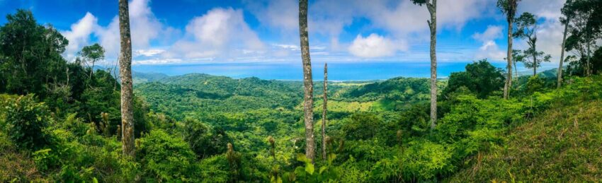 Brett's ark coastal view intentional community