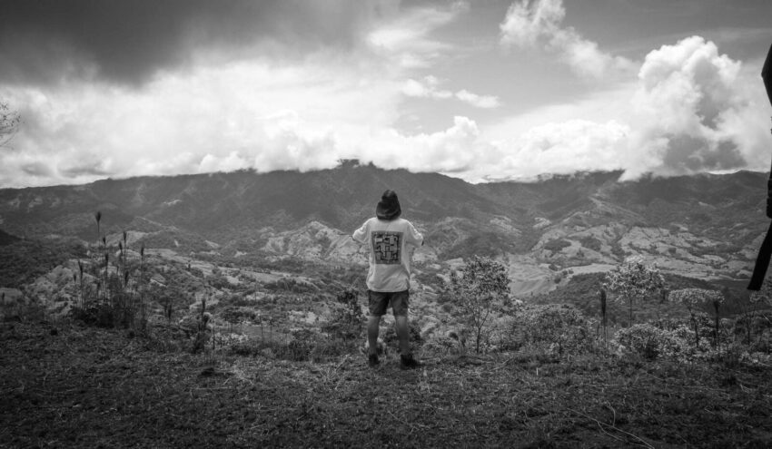 b/w photo costa rica jungle