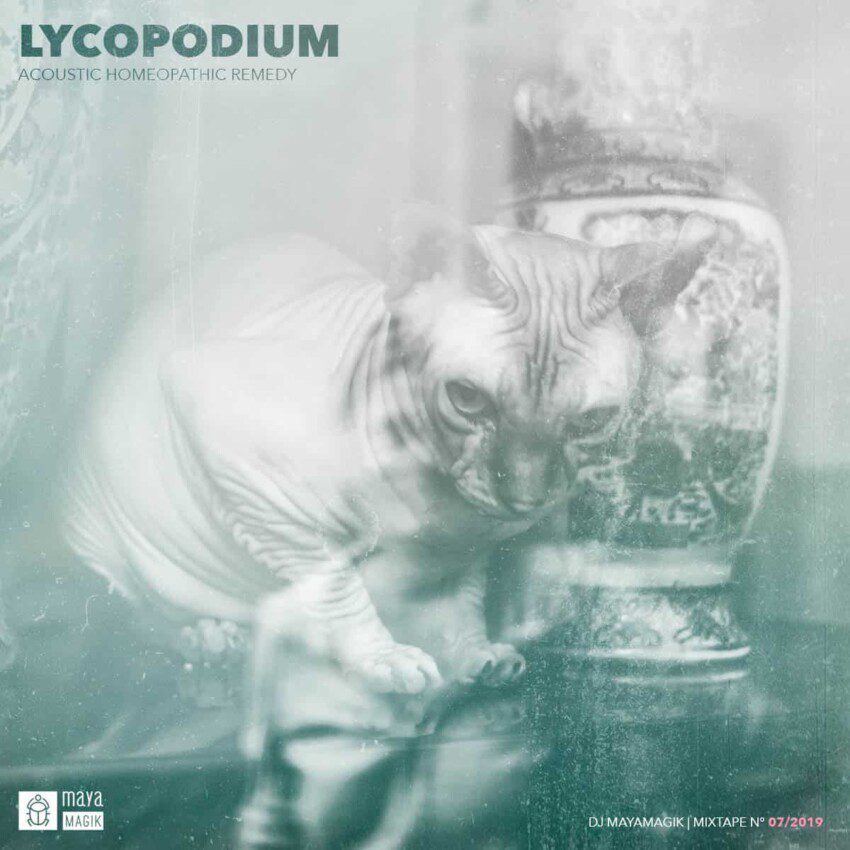Lycopodium Homeopathic Remedy DJ Mixtape Baja California Consulting