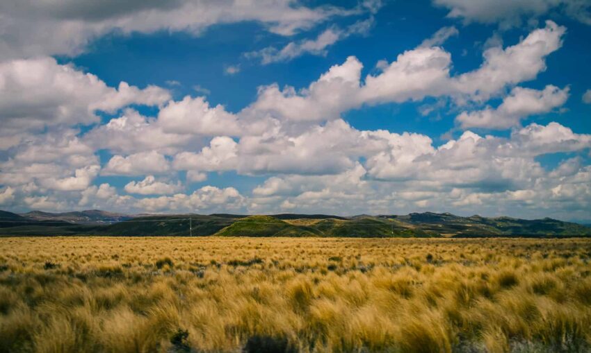 Reid's Farm Taupo New Zealand