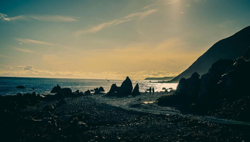 Wellington Surfing New Zealand